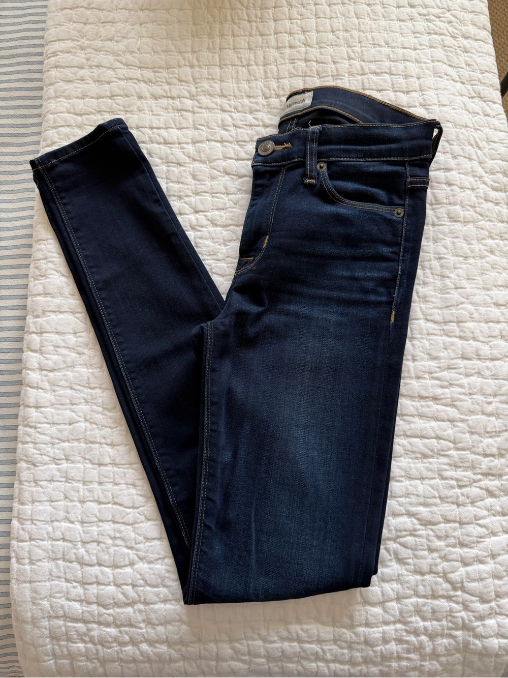 Hudson Jeans Women's Skinny in Dark Indigo Blue